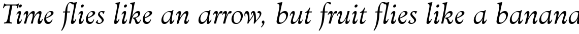Minister Light Italic