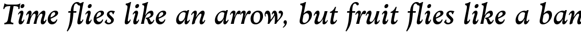Minister Book Italic
