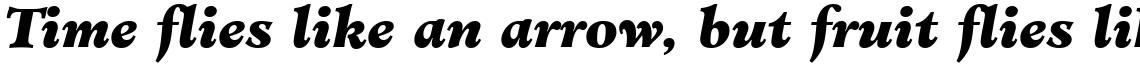 Minister Black Italic