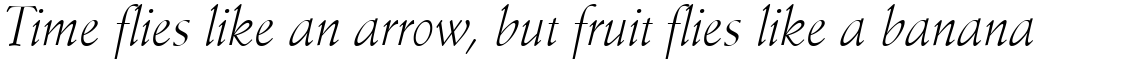 Stempel Schneidler Light Italic