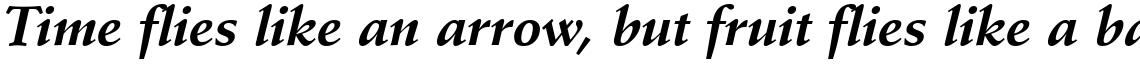 Stempel Schneidler Bold Italic