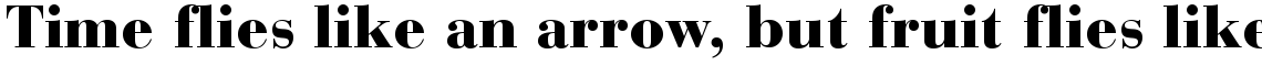 Bauer Bodoni Black