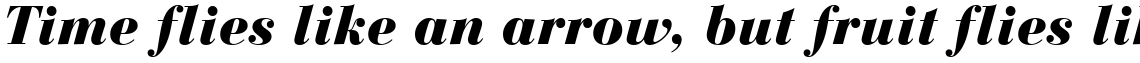 Bauer Bodoni Black Italic