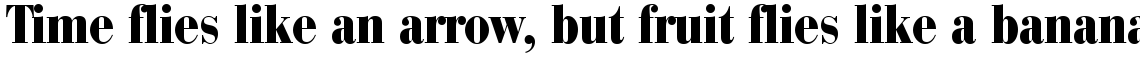 Bauer Bodoni Black Condensed