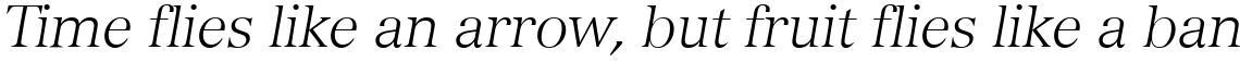 Versailles 46 Light Italic