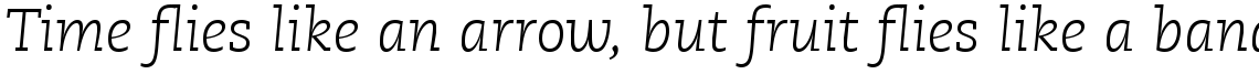 PMN Caecilia 46 Light Italic