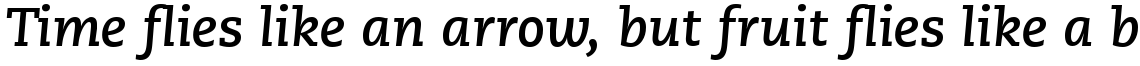 PMN Caecilia 76 Bold Italic