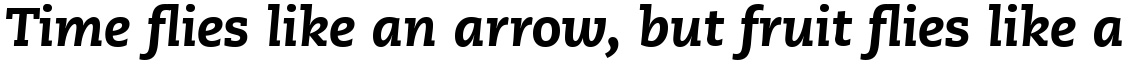 PMN Caecilia 86 Heavy Italic