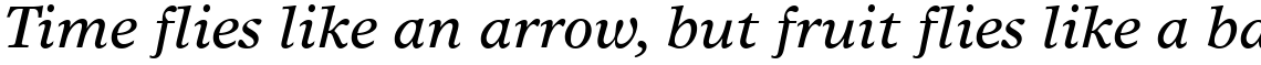 Times Europa Italic