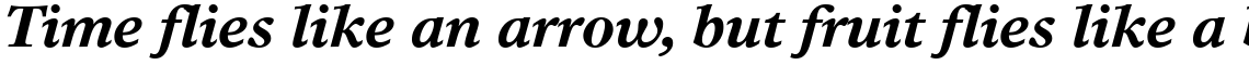 Times Europa Bold Italic