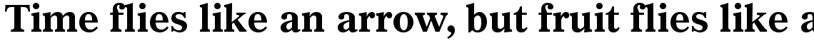 Gazette Bold