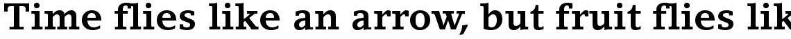 LinoLetter Bold