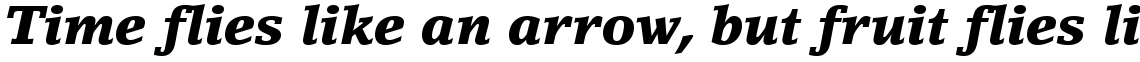 LinoLetter Black Italic