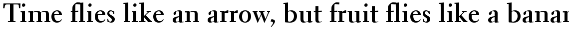 Electra Bold