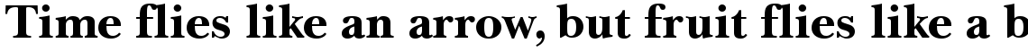 Baskerville LT Cyrillic Bold