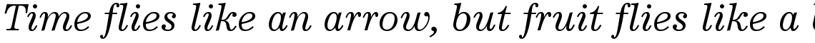 Excelsior Cyrillic Italic
