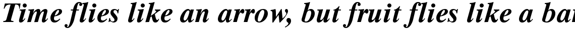 Times Ten Cyrillic Bold Inclined