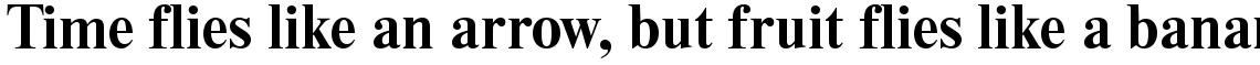 Times Eighteen Bold