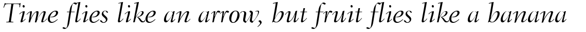 Fairfield 46 Light Italic