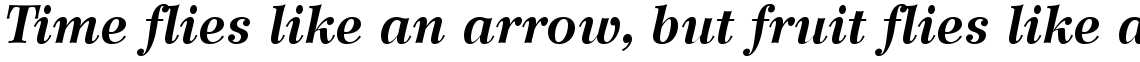 Wilke 76 Bold Italic
