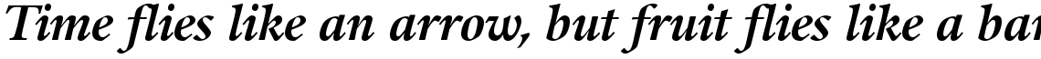 Guardi 76 Bold Italic
