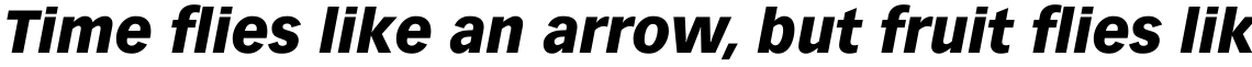 Vectora 96 Black Italic