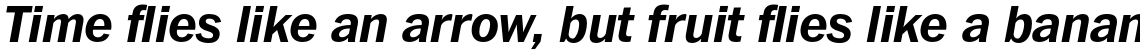 ITC Franklin Std Bold Italic
