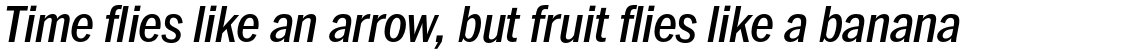 ITC Franklin Std Narrow Medium Italic