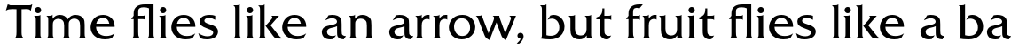 Friz Quadrata Pro Roman