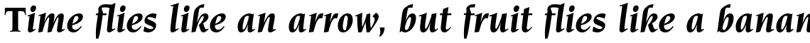 ITC Novarese Pro Bold Italic
