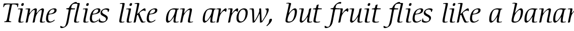 ITC Cerigo Pro Book Italic