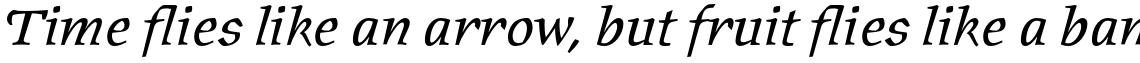 ITC Oldrichium Pro Italic