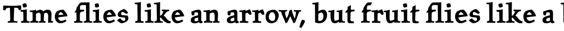 ITC Oldrichium Pro Bold
