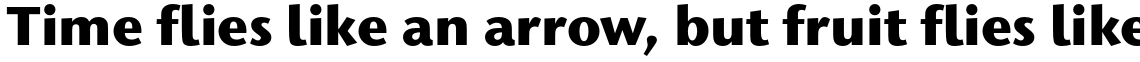 ITC Stone Humanist Pro Bold