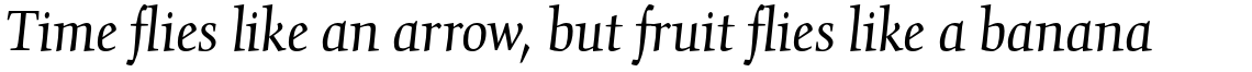Gilgamesh Pro Book Italic