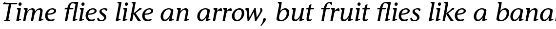 ITC Stone Informal Pro Medium Italic