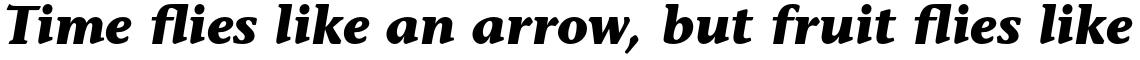 ITC Stone Informal Pro Bold Italic
