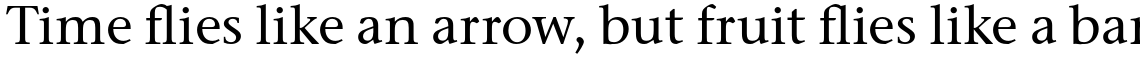 ITC Stone Serif Pro Medium