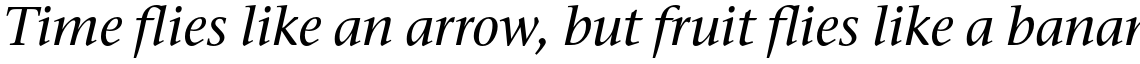 ITC Stone Serif Pro Medium Italic