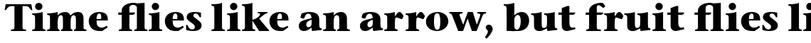 ITC Stone Serif Pro Bold