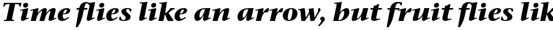 ITC Stone Serif Pro Bold Italic