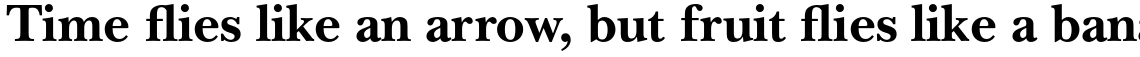 ITC New Baskerville Pro Bold