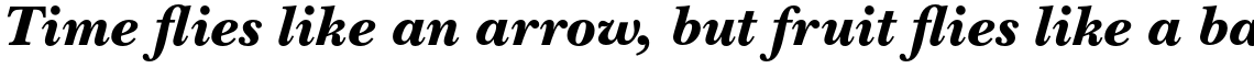 ITC New Baskerville Pro Black Italic