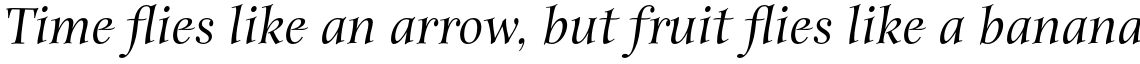 ITC Anima Std Medium Italic