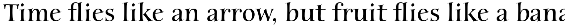 ITC Anima Std Bold