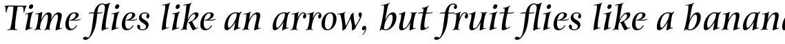 ITC Anima Std Bold Italic