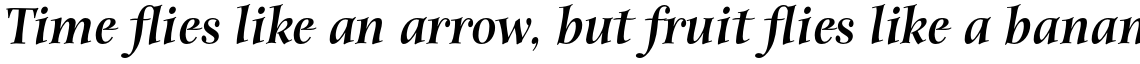 ITC Anima Std Black Italic