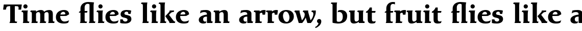 Exlibris Std Bold