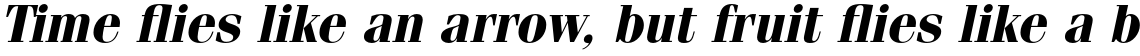 ITC Fenice Pro Bold Oblique