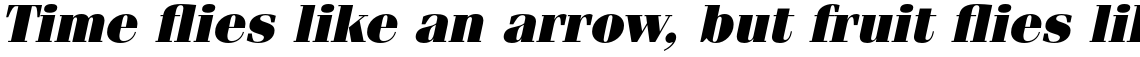 ITC Fenice Pro Ultra Oblique